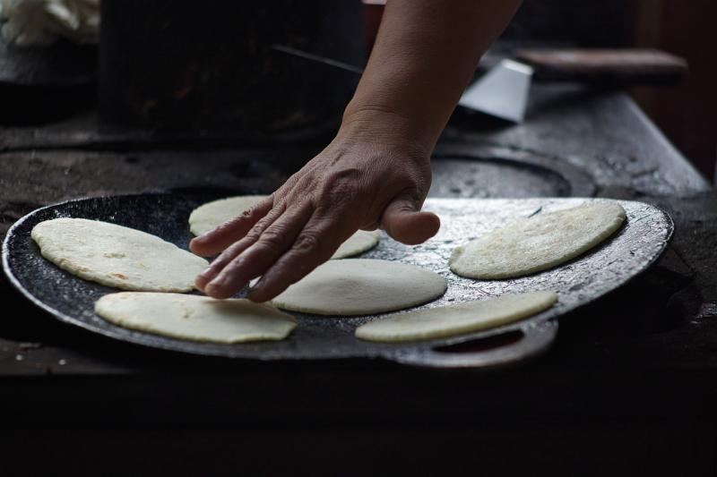 Jour 3 : Chez doña Maria, dans sa plantation de cœurs de palmiers - Boca Tapada