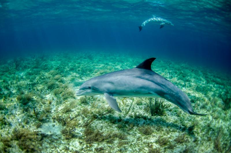 Jour 9 : Samara sur la côte pacifique, bateau et snorkeling