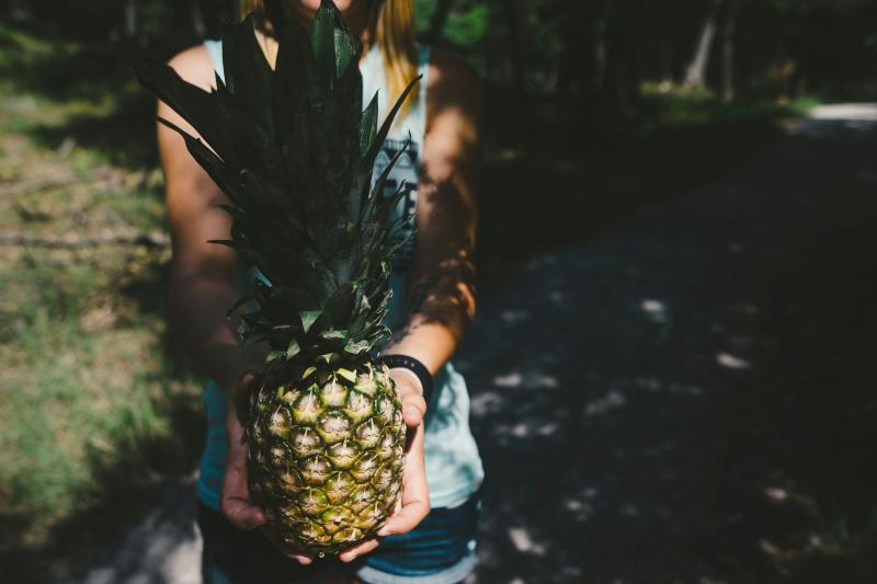 Jour 4 : Boca Tapada chez la famille Vargas et culture d'ananas avec Don Belicio