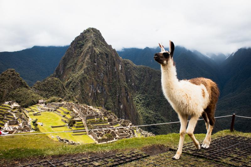 Jour 5 :  La merveille Machu Picchu